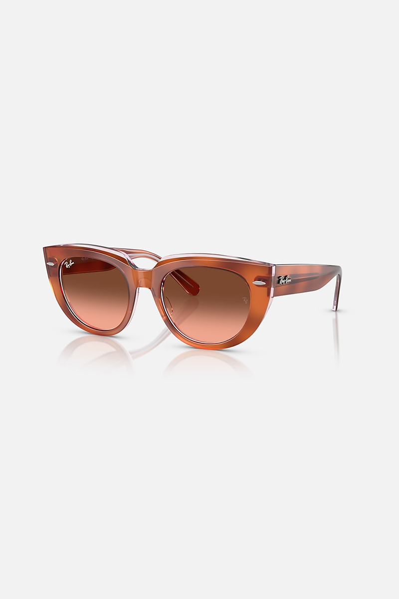Ray Ban Doreen in Polished Red Havana On Transparent Multicolor Fram Blue Ox Boutique