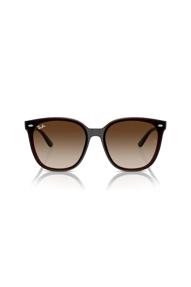 Ray Ban - RB4423D in Transparent Brown Frames with Brown Lenses - 0RB4423D 714/1366