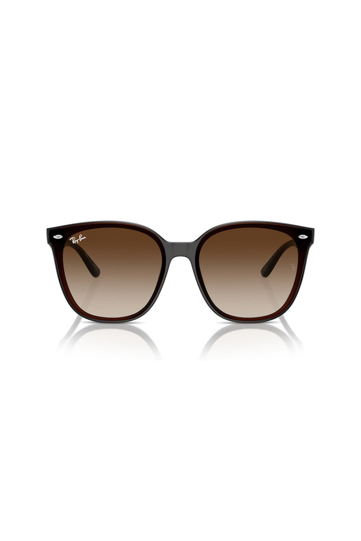 Ray Ban - RB4423D in Transparent Brown Frames with Brown Lenses - 0RB4423D 714/1366