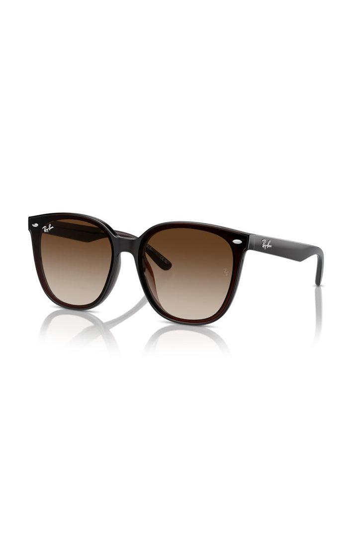 Ray Ban - RB4423D in Transparent Brown Frames with Brown Lenses - 0RB4423D 714/1366