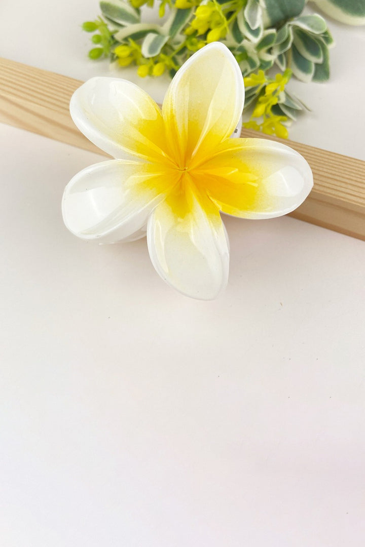 SoapElenGlen - Colorful Plumeria Hair Clip