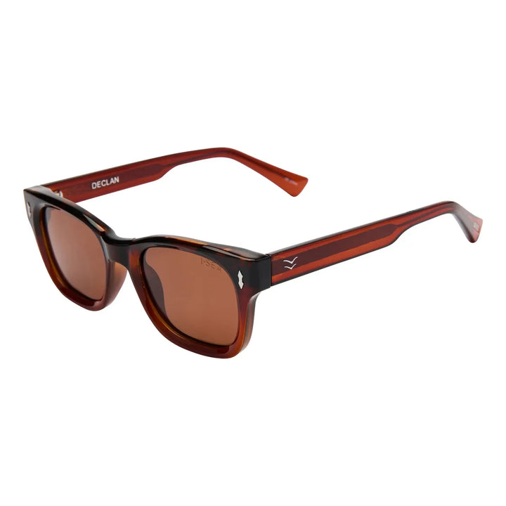 Declan with Tortoise Cola Frames and Brown Polarized Lenses