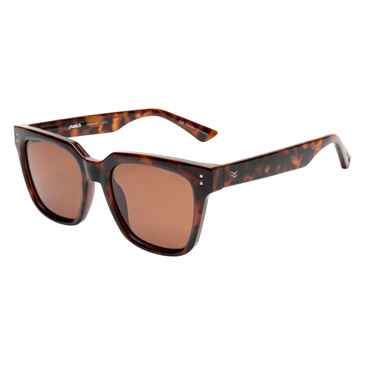 I-SEA - James With Brown Tortoise Frames and Brown Polarized Lenses
