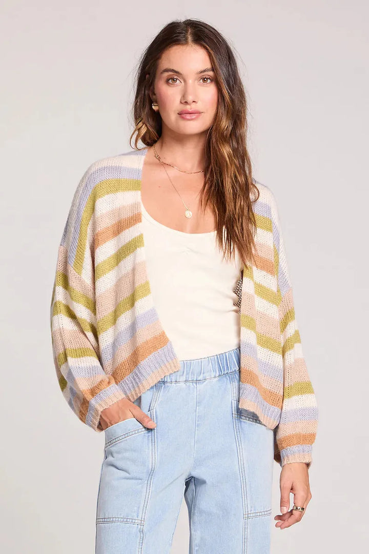 Saltwater LUXE - Aden Sweater in Multi