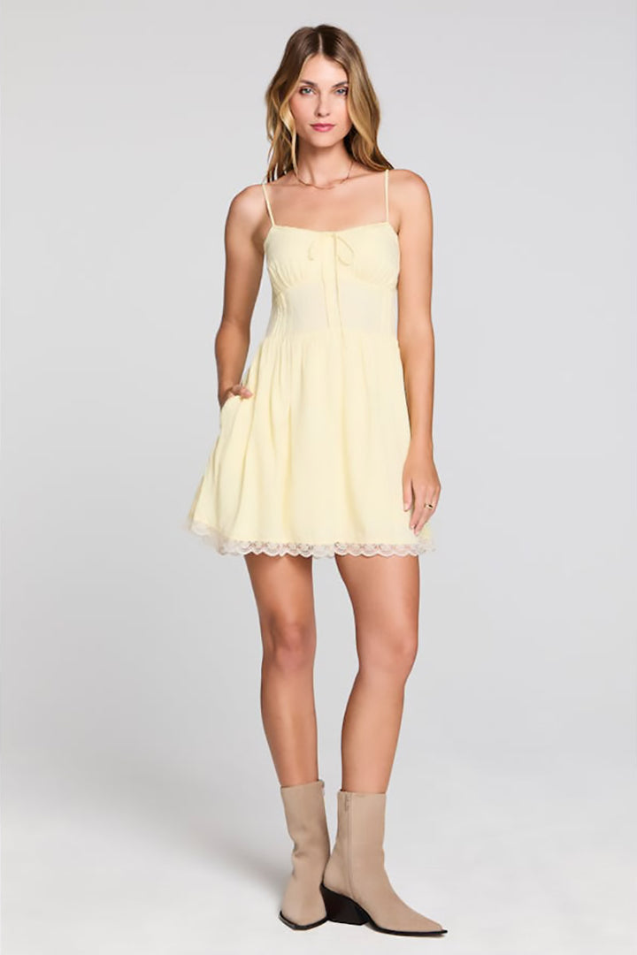 Saltwater LUXE - Zurina Mini Dress