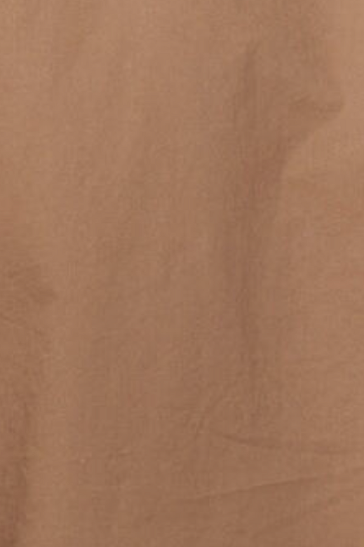 Z-Supply - Elevated Poplin Shirt in Palo Santo