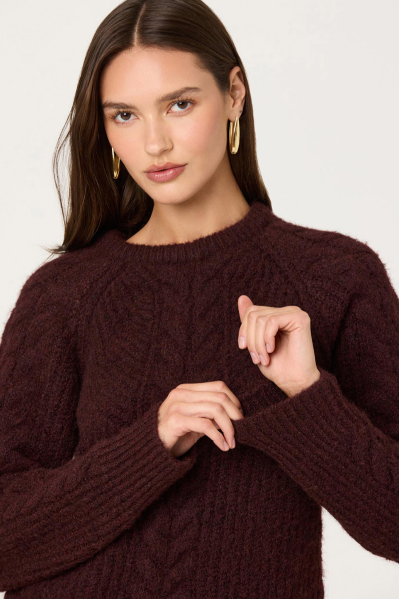 Astr - Taran Sweater in Wine