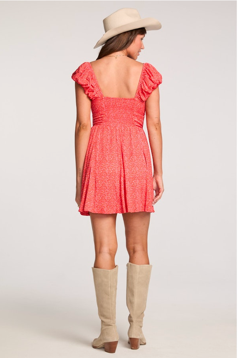 Saltwater LUXE - Eliss Mini Dress in Vintage Red