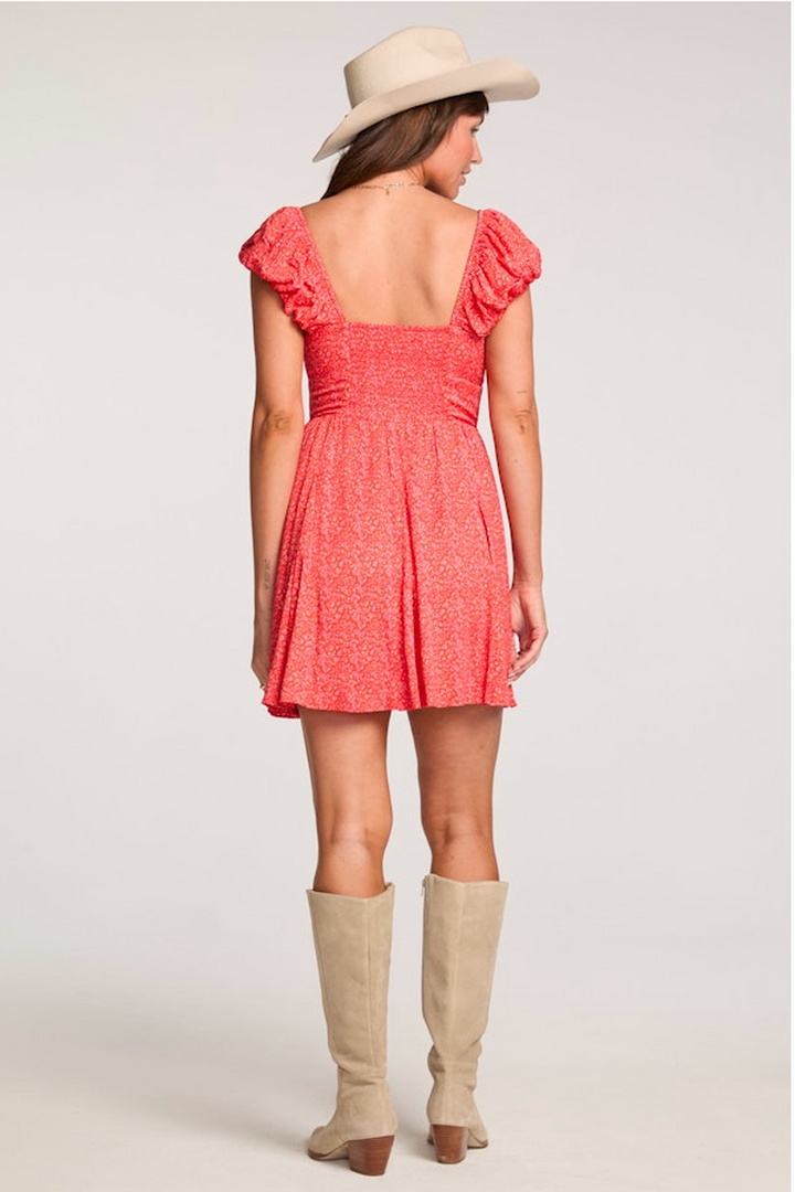 Saltwater LUXE - Eliss Mini Dress in Vintage Red