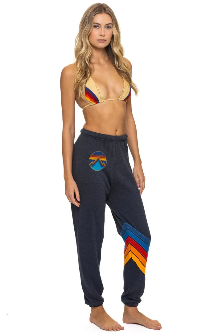 AVIATOR NATION - All Seasons Circle Chevron Sweatpants in Charcoal