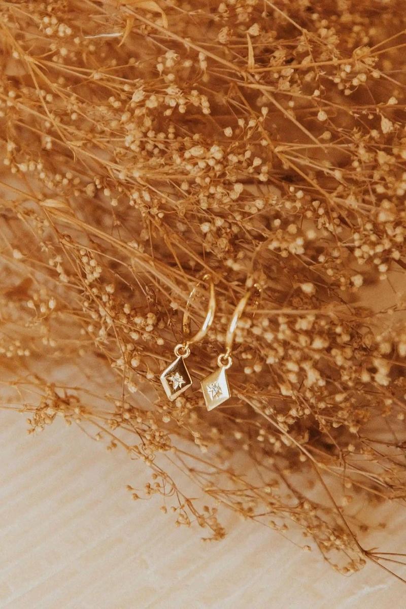 Mauve Jewelry Co. - Nova Hoops in Gold Vermeil