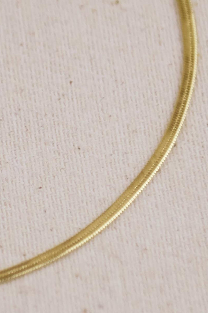 GoldFi - 18k Gold Filled 2mm Herringbone Anklet