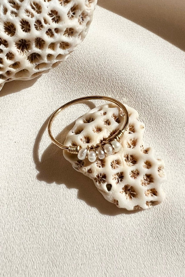 In Situ Jewelry - Oyster Ring in Gold