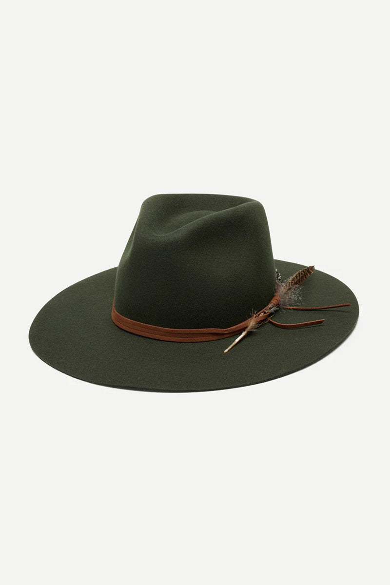 Wyeth - Hollis in "Olive"